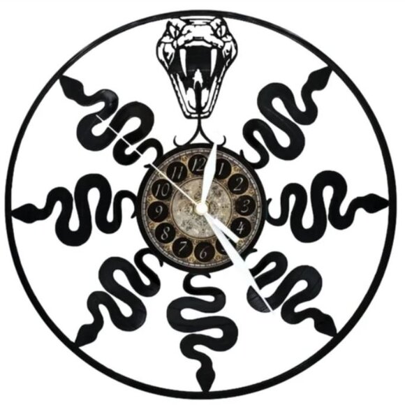 Handmade Other - SNAKES vinyl record clock